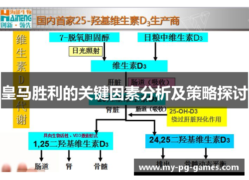 皇马胜利的关键因素分析及策略探讨