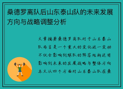 桑德罗离队后山东泰山队的未来发展方向与战略调整分析