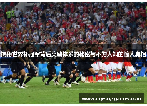 揭秘世界杯冠军背后奖励体系的秘密与不为人知的惊人真相